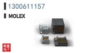 1300611157