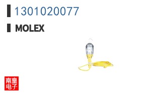 1301020077