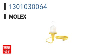 1301030064
