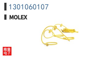 1301060107