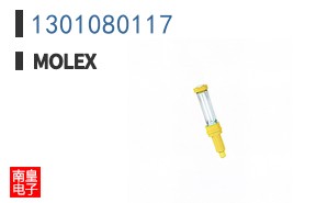 1301080117