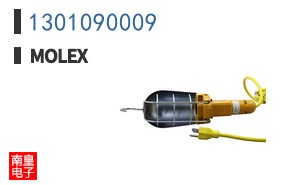 1301090009