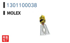 1301100038