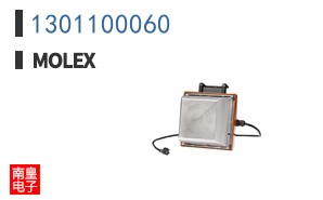 1301100060
