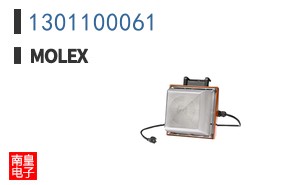 1301100061