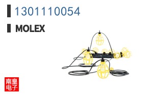 1301110054
