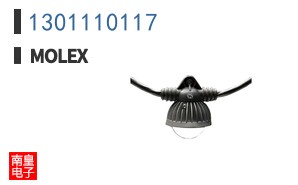 1301110117