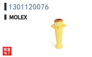 1301120076