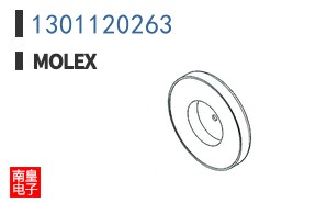 1301120263