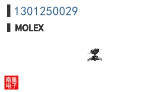 1301250029