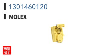 1301460120