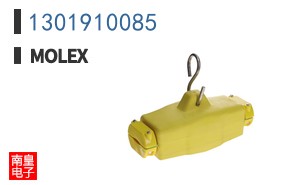 1301910085