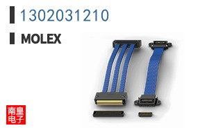 1302031210