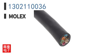 1302110036