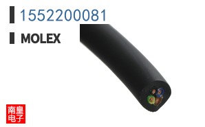 1552200081