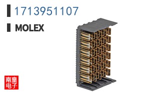 1713951107
