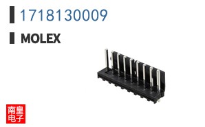 1718130009