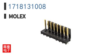 1718131008