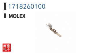 1718260100