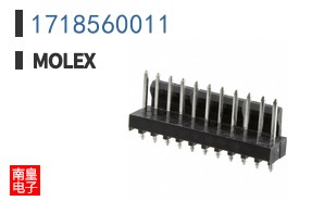 1718560011