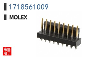 1718561009