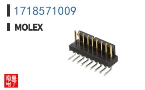 1718571009
