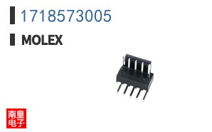 1718573005