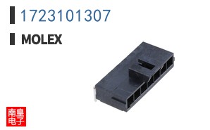 1723101307