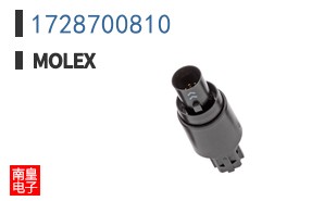 1728700810