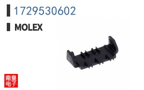 1729530602