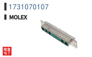 1731070107