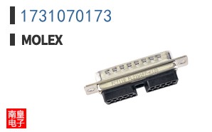 1731070173