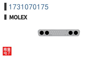 1731070175