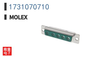 1731070710