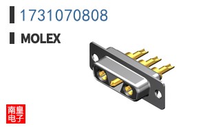 1731070808