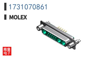 1731070861