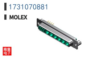 1731070881