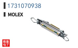 1731070938