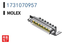 1731070957