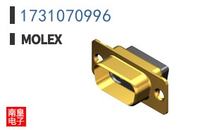 1731070996