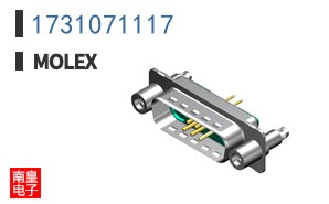 1731071117