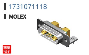 1731071118