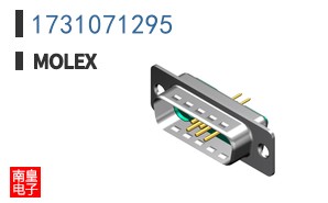 1731071295