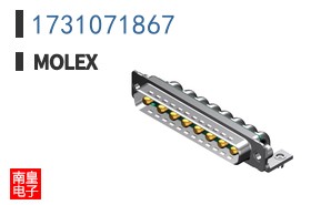 1731071867