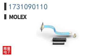 1731090110