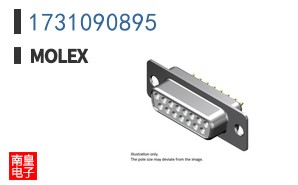 1731090895