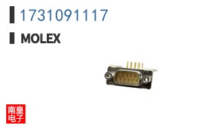 1731091117