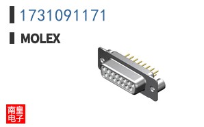 1731091171