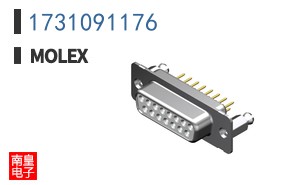 1731091176