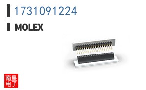 1731091224